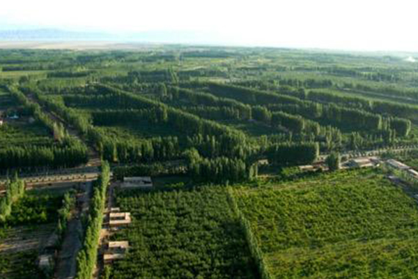 全国春季造林4742.97万亩